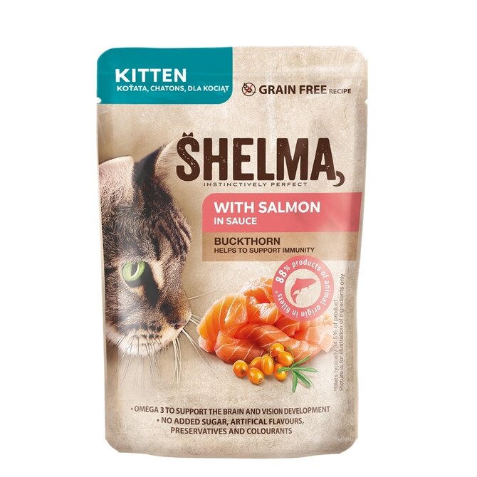 SHELMA Cat Kitten losos a rakytník v omáčce, kapsa 85 g  (28 ks)