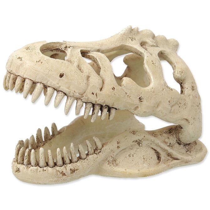 Dekorace REPTI PLANET T-REX lebka 13,3cm