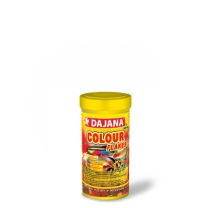 Dajana Colour 100