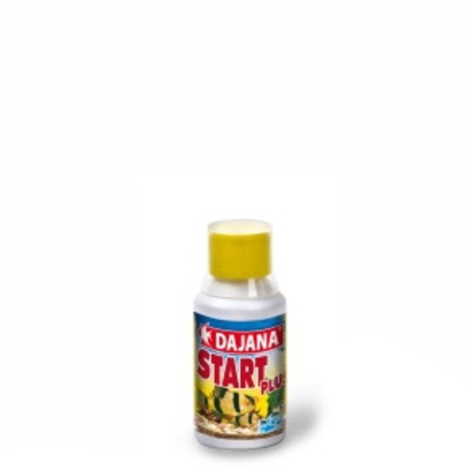 Dajana Start Plus 250