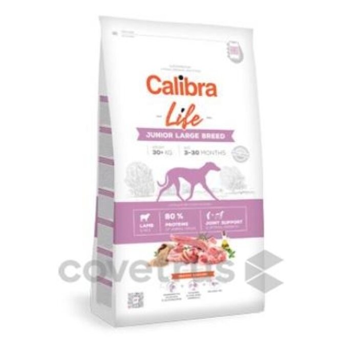 Calibra Dog Life Junior Large Breed Lamb 12kg