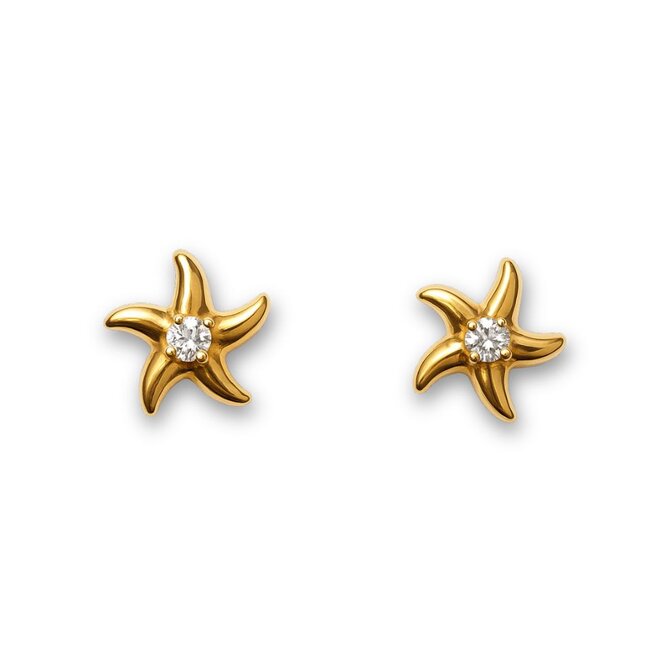 Náušnice Hvězdice Gold 3082 zlatá, nerezová ocel