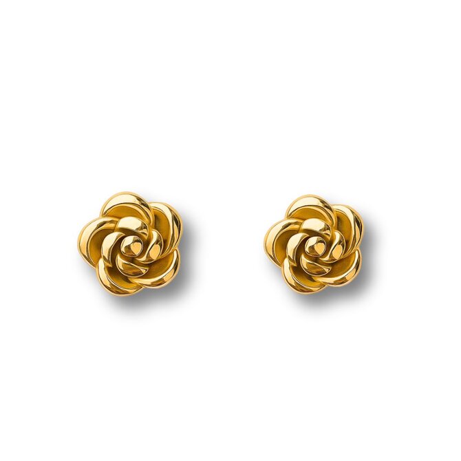 Náušnice Růže Gold 3082 zlatá, nerezová ocel