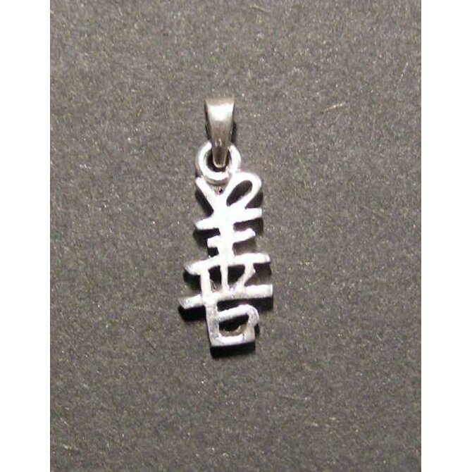 Čínský symbol - &quot;dobrota&quot; - stříbrný přívěsek