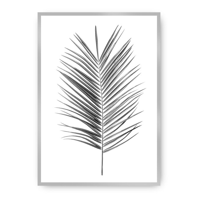 Dekoria Plakát Palm Leaf Green, 30 x 40 cm, Vybrat rám: Stříbrný