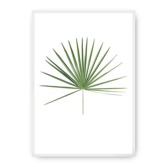 Dekoria Plakát Tropical Leaf Green, 40 x 50 cm, Vybrat rám: Bílý