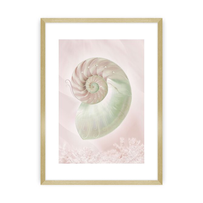 Dekoria Plakát Pastel Pink III, 40 x 50 cm, Zvolit rámek: Zlatý