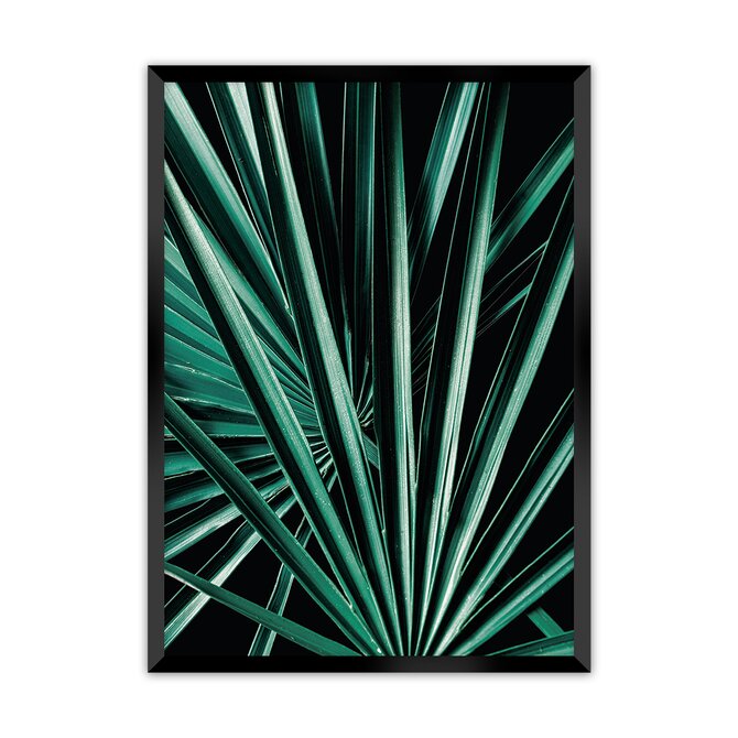 Dekoria Plakát Dark Palm Tree, 70 x 100 cm, Volba rámku: Černý