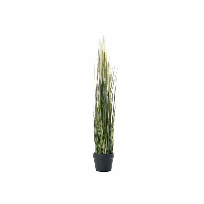 Dekoria Dekorace z trávy Pampas Gras 100cm, 100 cm