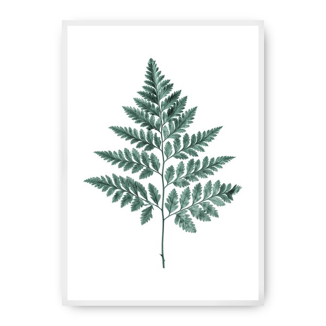 Dekoria Plakát Fern Emerald Green, 40 x 50 cm, Ramka: Biała