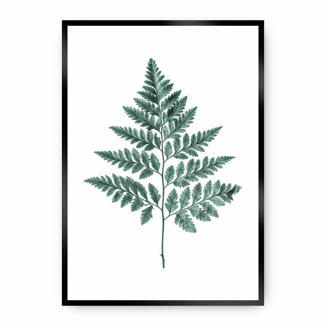 Dekoria Plakát Fern Emerald Green, 40 x 50 cm, Ramka: Czarna