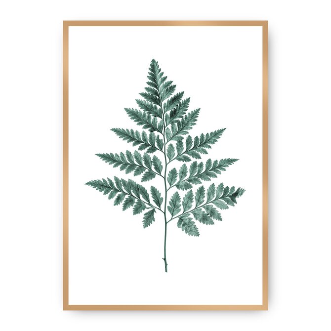 Dekoria Plakát Fern Emerald Green, 40 x 50 cm, Ramka: Złota