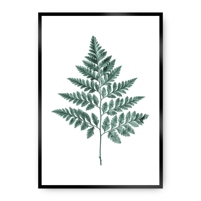 Dekoria Plakát Fern Emerald Green, 50 x 70 cm, Ramka: Czarna