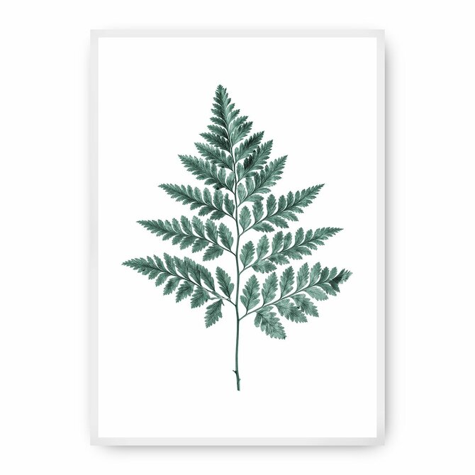 Dekoria Plakát Fern Emerald Green, 70 x 100 cm, Ramka: Biała