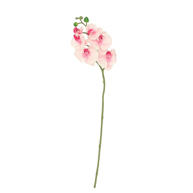 Dekoria Větvička Orchid 65cm light pink, 65 cm