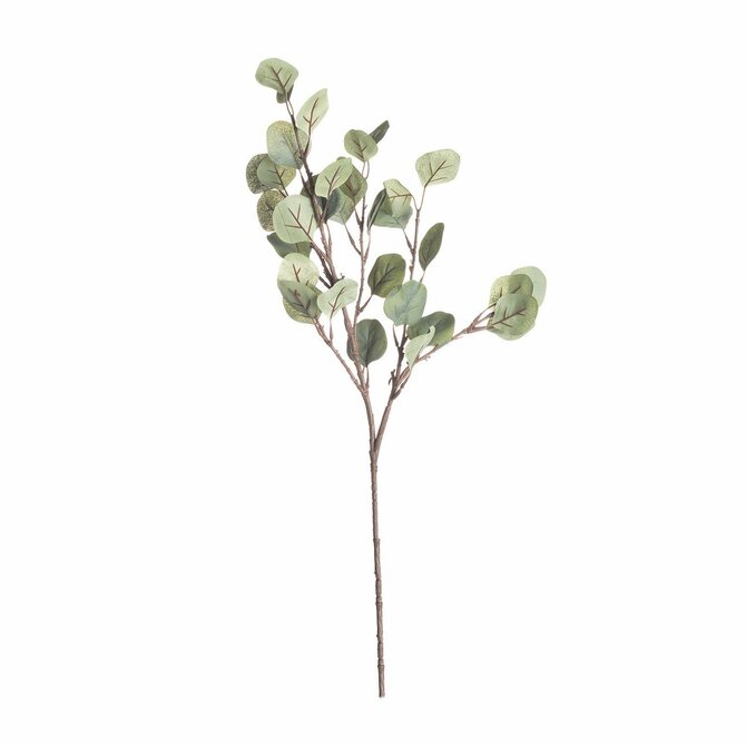 Dekoria Větvička Eukaliptusa 68cm, 10 x 5 x 68 cm