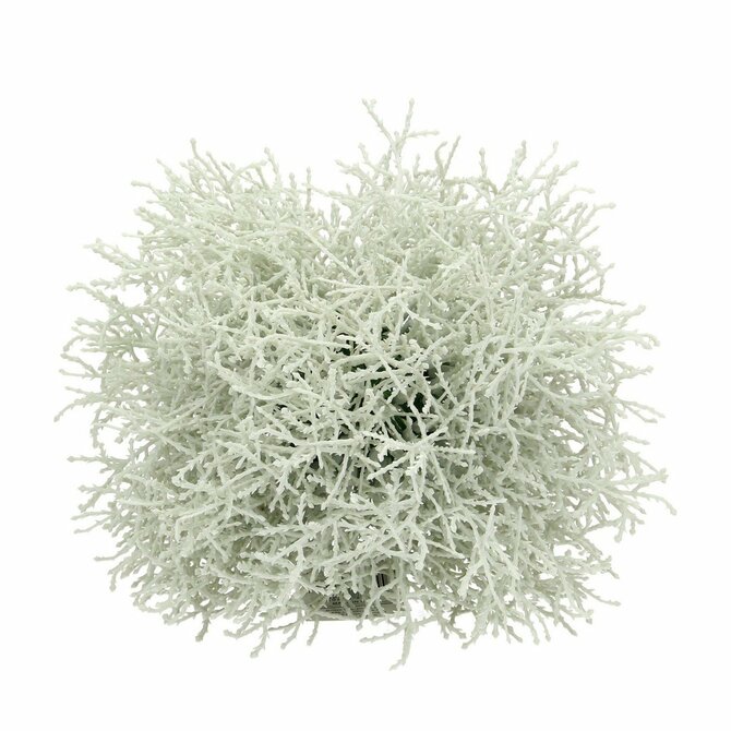 Dekoria Dekorace Grass  ⌀20cm, 20 x 20 cm