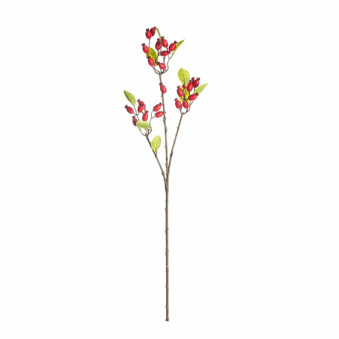 Dekoria Dekorace z divokých růží 70cm red, 10 x 10 x 70 cm