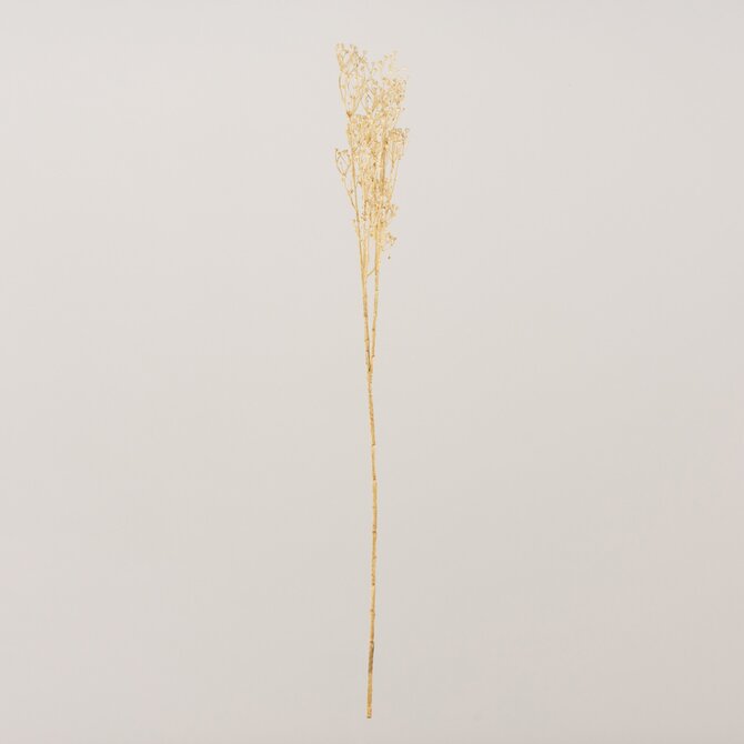 Dekoria Větev Frostbloom ecru 80 cm, 5x80 cm