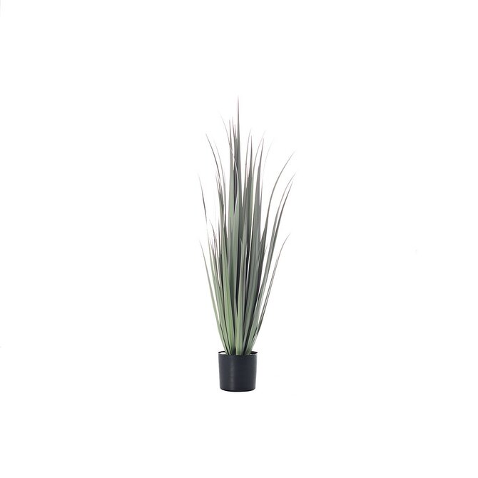 Dekoria Rostlinná dekorace Grass výška 92cm, 92 cm