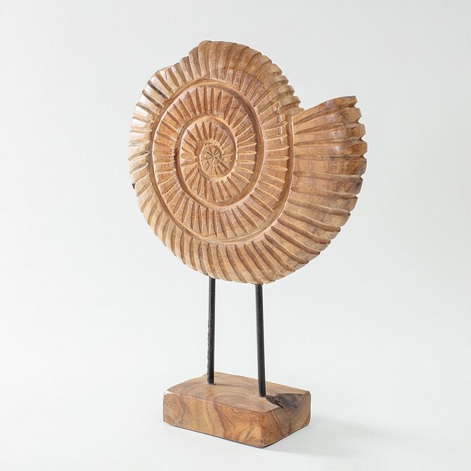Dekoria Dekorace Fossil 45 cm, 34x10x45 cm