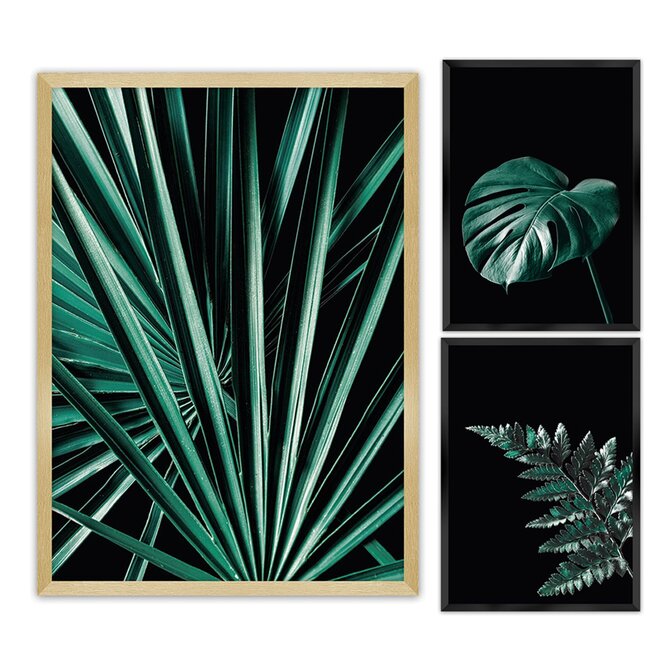 Dekoria Sada obrázků Botanica 3ks., 70x100cm/ 40x50cm 