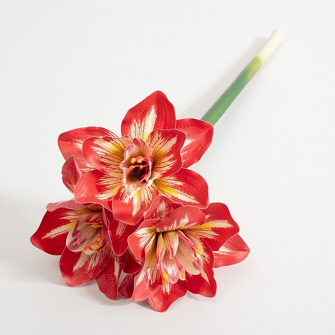 Dekoria Umělá květina Amarylis 62 cm red, 15x62 cm