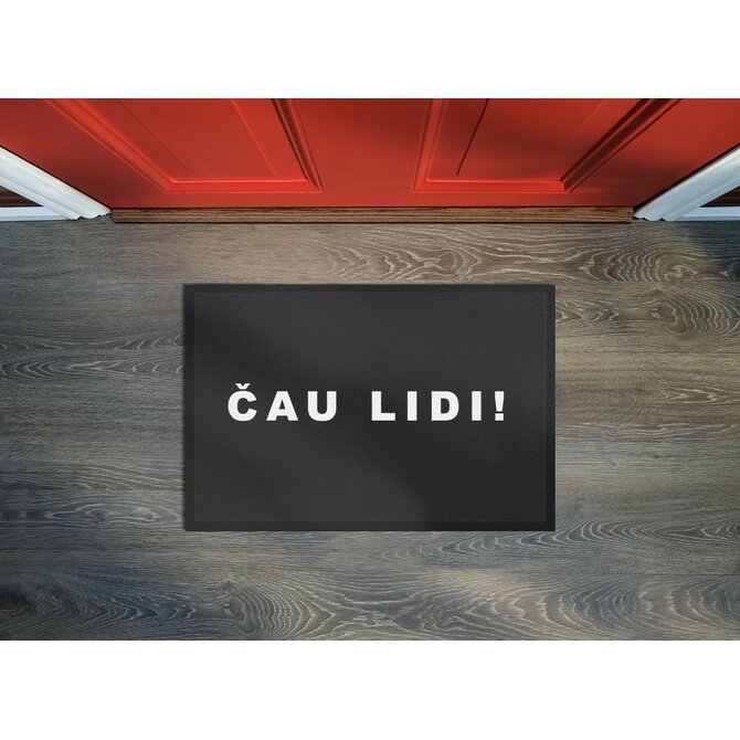 GDmats koberce Rohožka Čau lidi 40x60 cm - na ven i na doma - 40x60 cm Šedá, Malé (80x150 cm a menší), Syntetický (umělý)