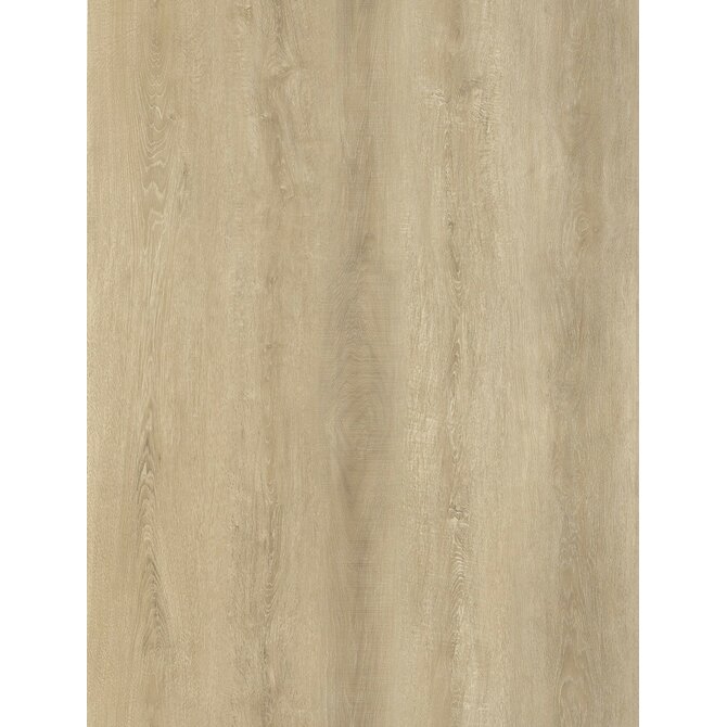 Oneflor Vinylová podlaha lepená ECO 30 074 Sawcut Oak Natural  - dub - Lepená podlaha Béžová, Syntetický (umělý)