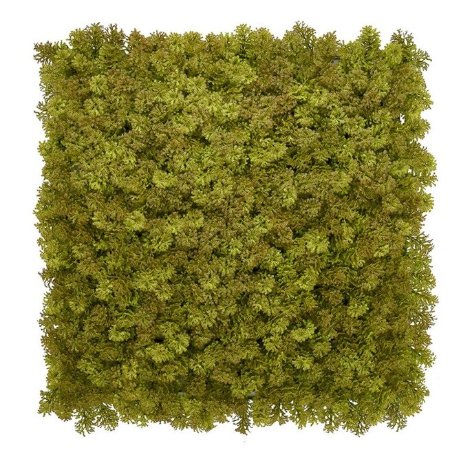 Europe Grass Umělý rostlinný panel KATE MOSS 50 x 50 cm - Panel 50x50 Žlutá, Syntetický (umělý)