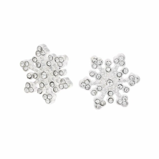 Drobné vločky stříbrné barvy Stříbrná