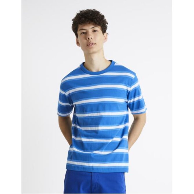 Pruhované tričko Bewasp Modrá, S