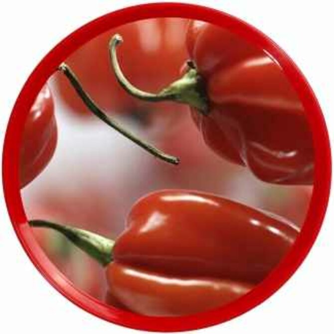 DURAplast Tác plastový průměr 35cm IML - paprika