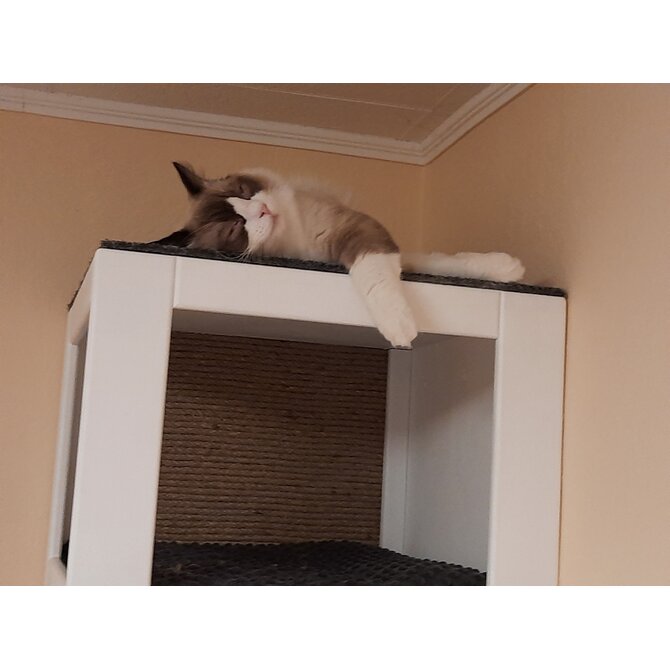 Kočičí pelíšek na strop - RA2