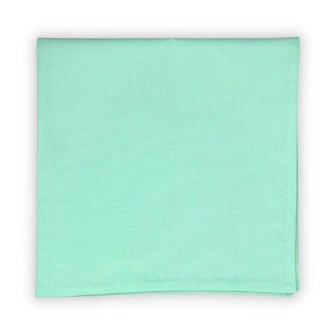 Světle zelený Mint bavlněný kapesníček Premium Zelená, Bavlna