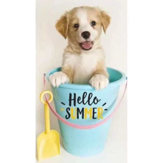 Carbotex Dog Summer BRM013766 plážová osuška barevná 70x140 barevná