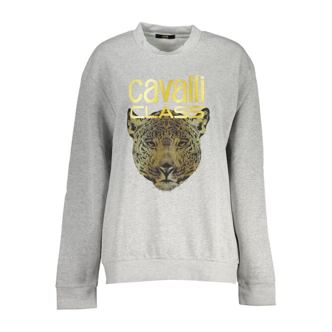 Cavalli Class QXT67ZCF062 Dámská mikina šedá XL šedá, XL
