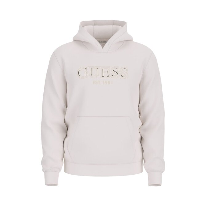 Guess Jeans M5BQ36 K9Z21 Pánská mikina bílá L bílá, L