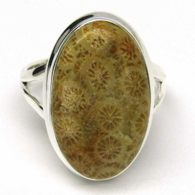 AutorskeSperky.com - Stříbrný prsten s mořským fosilním korálem -  S4718 Stříbro
