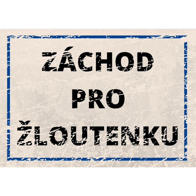 Plechová cedulka 20 x 15 cm – Záchod pro žloutenku