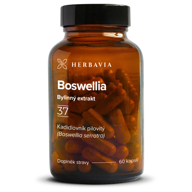 Boswellia bylinný extrakt - 60 kapslí / Herbavia.cz