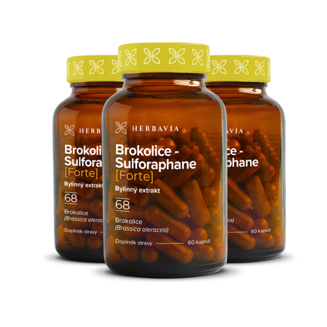 Brokolice bylinný extrakt FORTE- 2+1 zdarma- 3x60 kapslí / Herbavia.cz