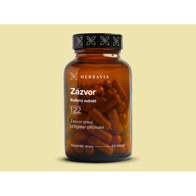 Zázvor bylinný extrakt - 60 kapslí / Herbavia.cz