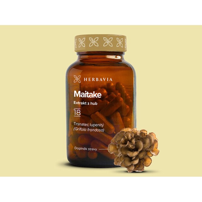 Maitake  extrakt  z hub - 60 kapslí / Herbavia.cz
